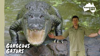 Chandler's Floridian Friends | Australia Zoo Life