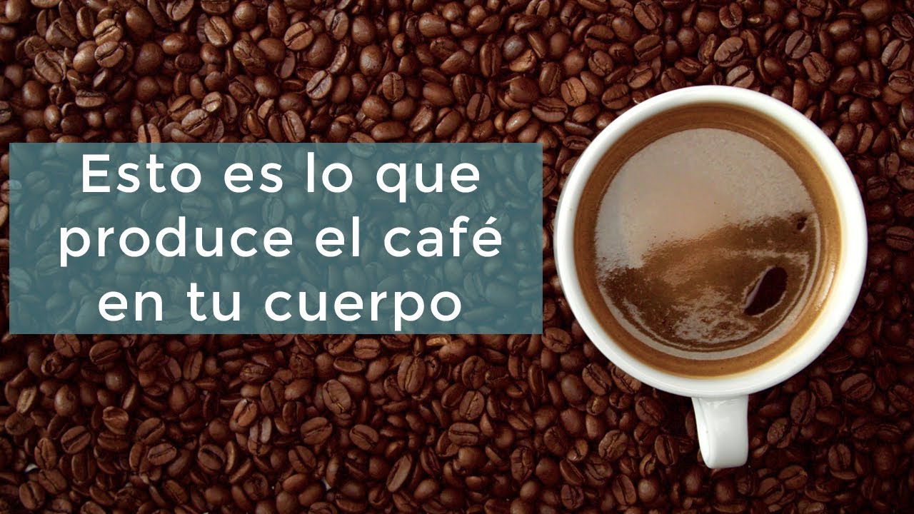 Esto es lo que produce el café en tu cuerpo YouTube
