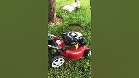 Máy cắt cỏ tự hành DICH DCM 1668, hàng cực mê, giá lại phê