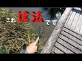 魚捕りしてたら違法罠見つけたので通報しました…【琵琶湖ガサガサ探検記55】