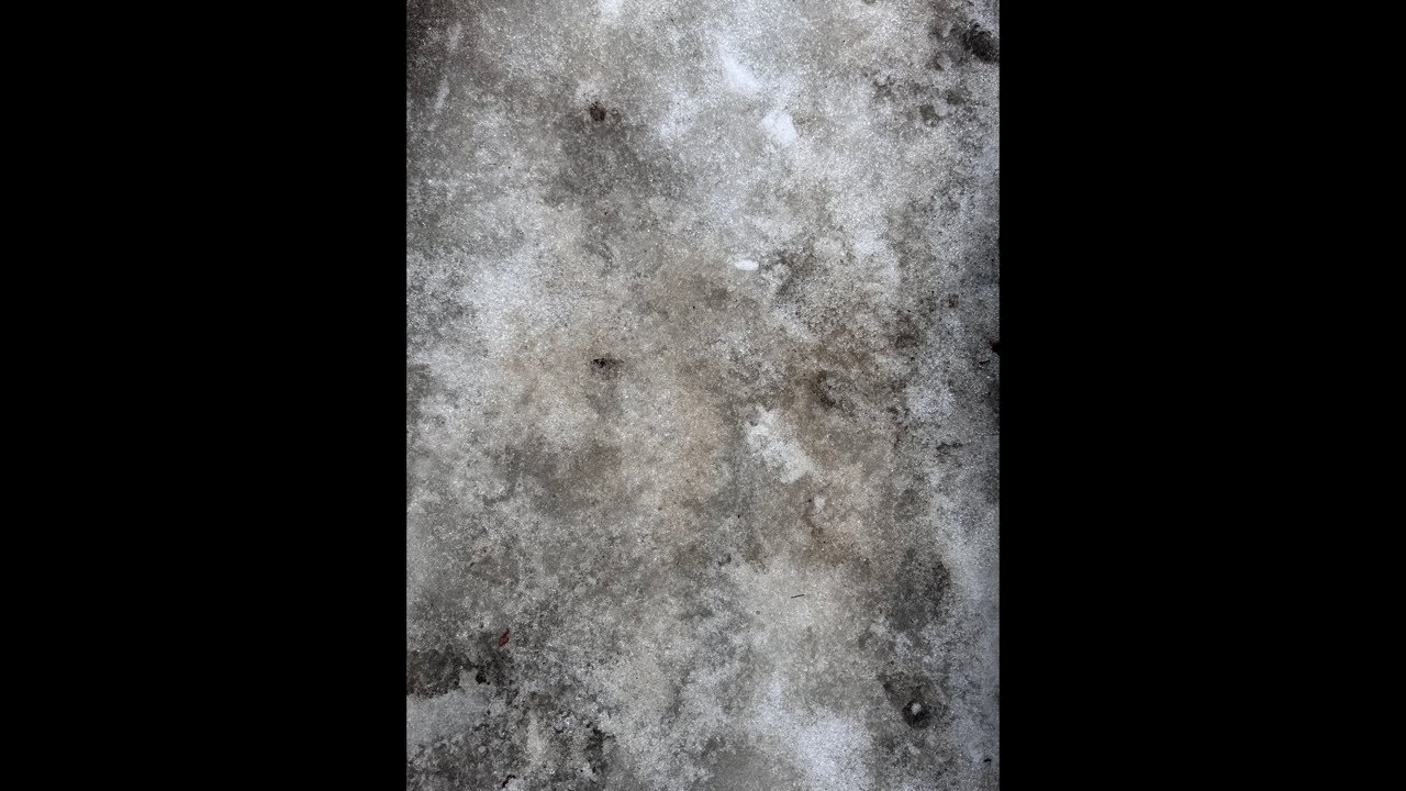 #札幌市　みぞれが止んだ☃️❄️☔️