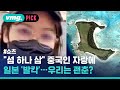 "일본 섬 사버림" 일본 뒤집은 중국인 자랑…우리나라는? / 비머pick /