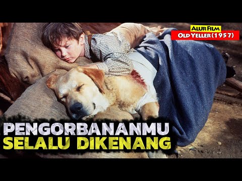 Video: Anjing Diselamatkan Dari Ladang Daging Yang Akhirnya Dapat Peluang Jadi Bersama Keluarga