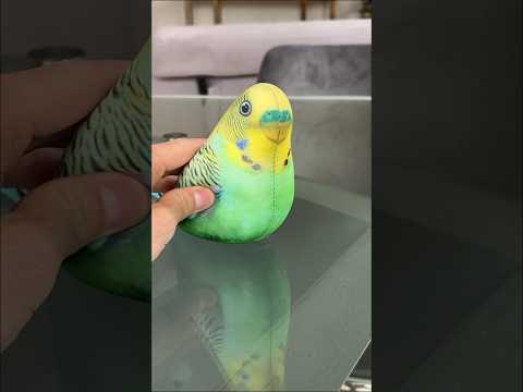 Производим игрушки БОЛЬШЕ ДВУХ ЛЕТ