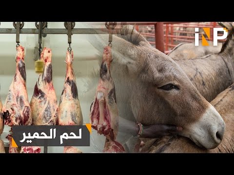 فيديو: علامات الطاقة بينت أب في الكلاب