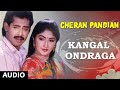 Kangal Ondraga Song | Cheran Pandiyan Songs | Sarath Kumar, Srija | Soundaryan | Tamil Old Songs