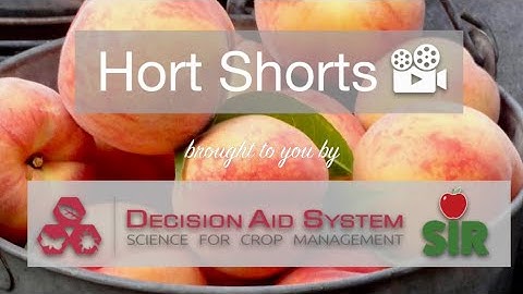 Pearl Hort Short Series - Peach Twig and Tree Borer