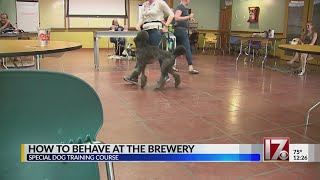 Dog training class focuses on brewery etiquette