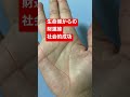 生命線から小指へ向かう財運線、社会的成功をする