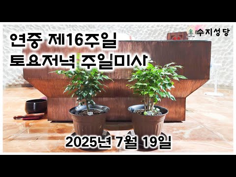 영상썸네일