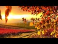 Melodic Progressive House mix Vol 6 (Autumn Colors)