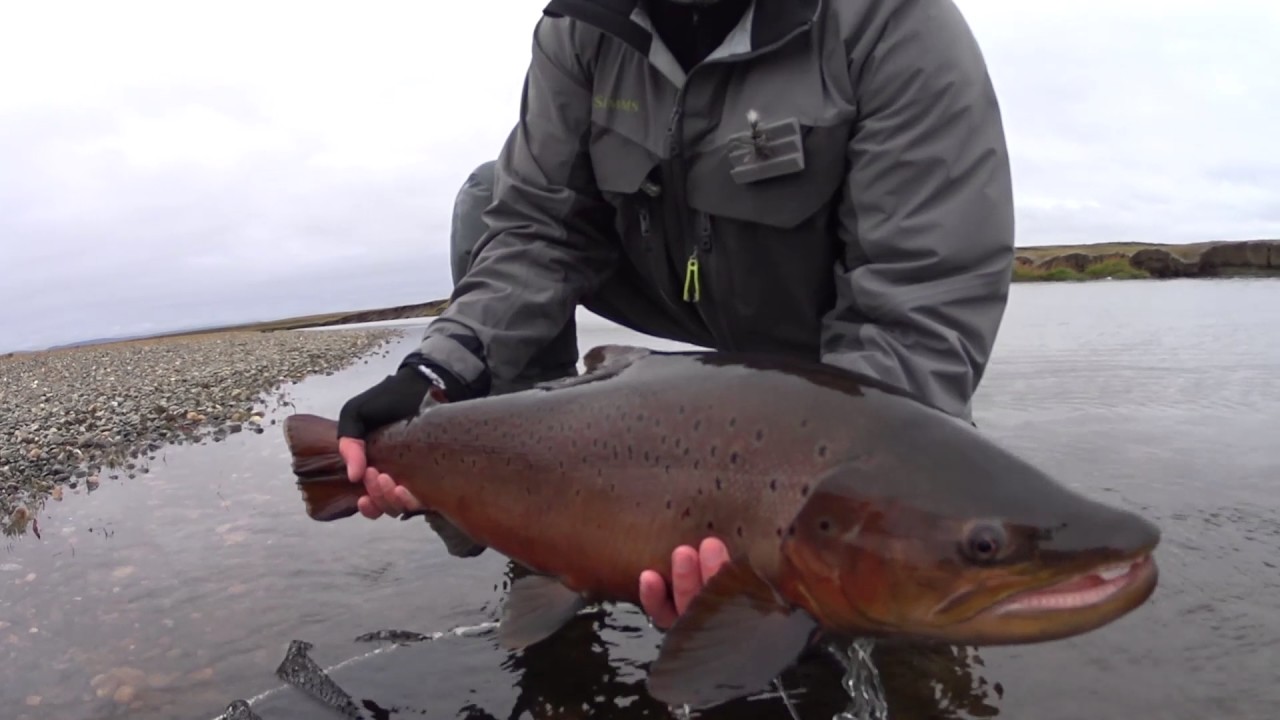 Estancia El Rincon, Sea Trout Fishing - Rio Gallegos. — Salmon Junkies