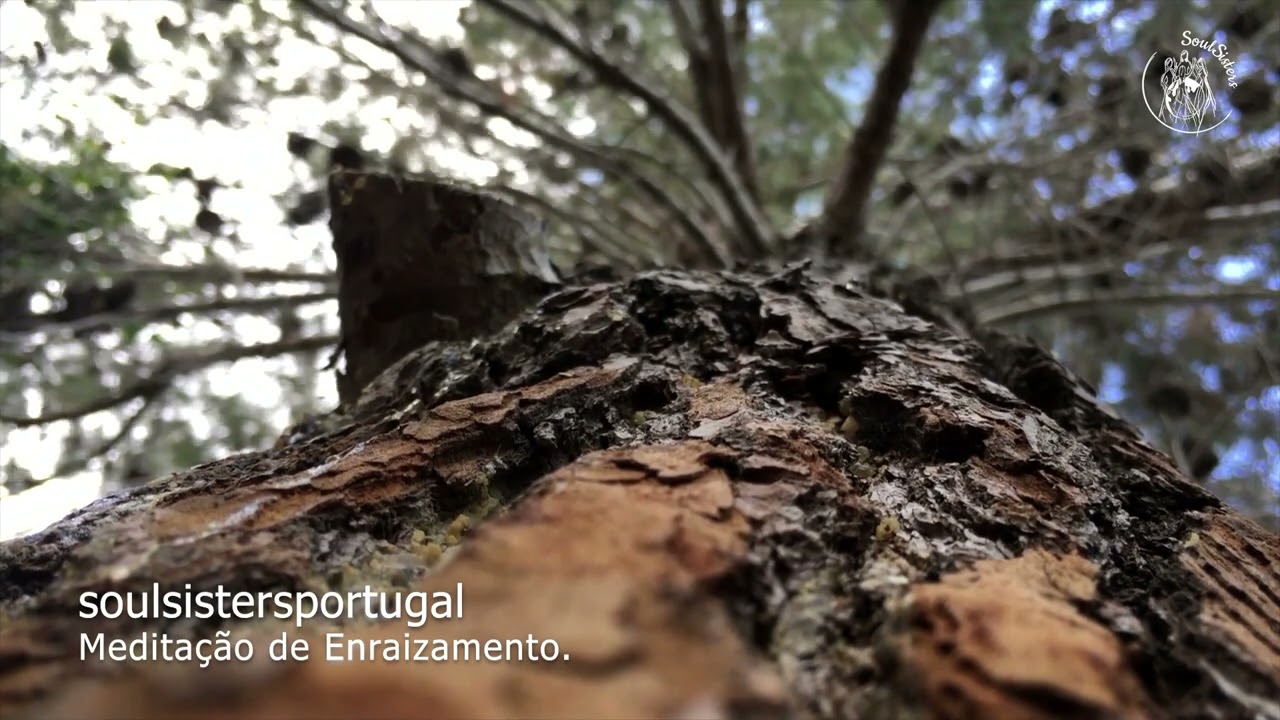 Meditação de Enraizamento - SOULSISTERS