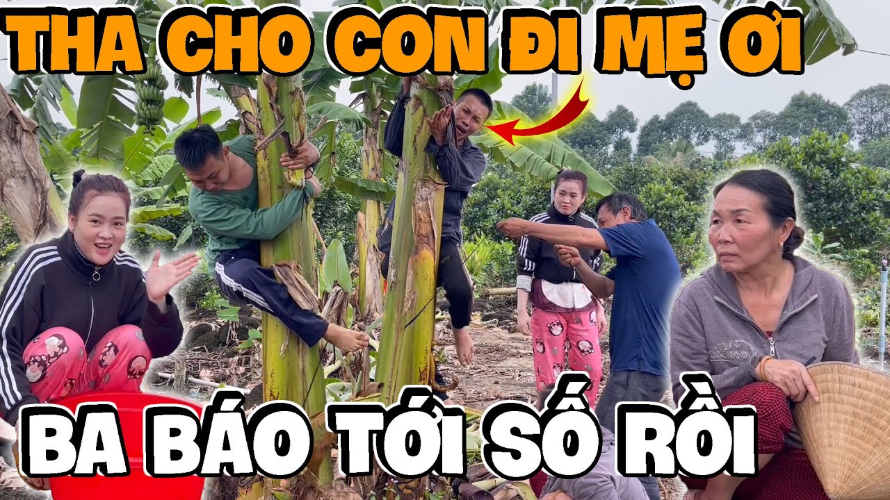 Chơi Vố Này Sơn Báo Thì Khóc Sướt Mướt Hải Ka Thì Mặt Tái Xanh | Anh Ba Báo