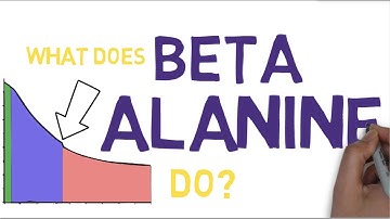 BETA ALANINE EXPLAINED - What is Beta Alanine?