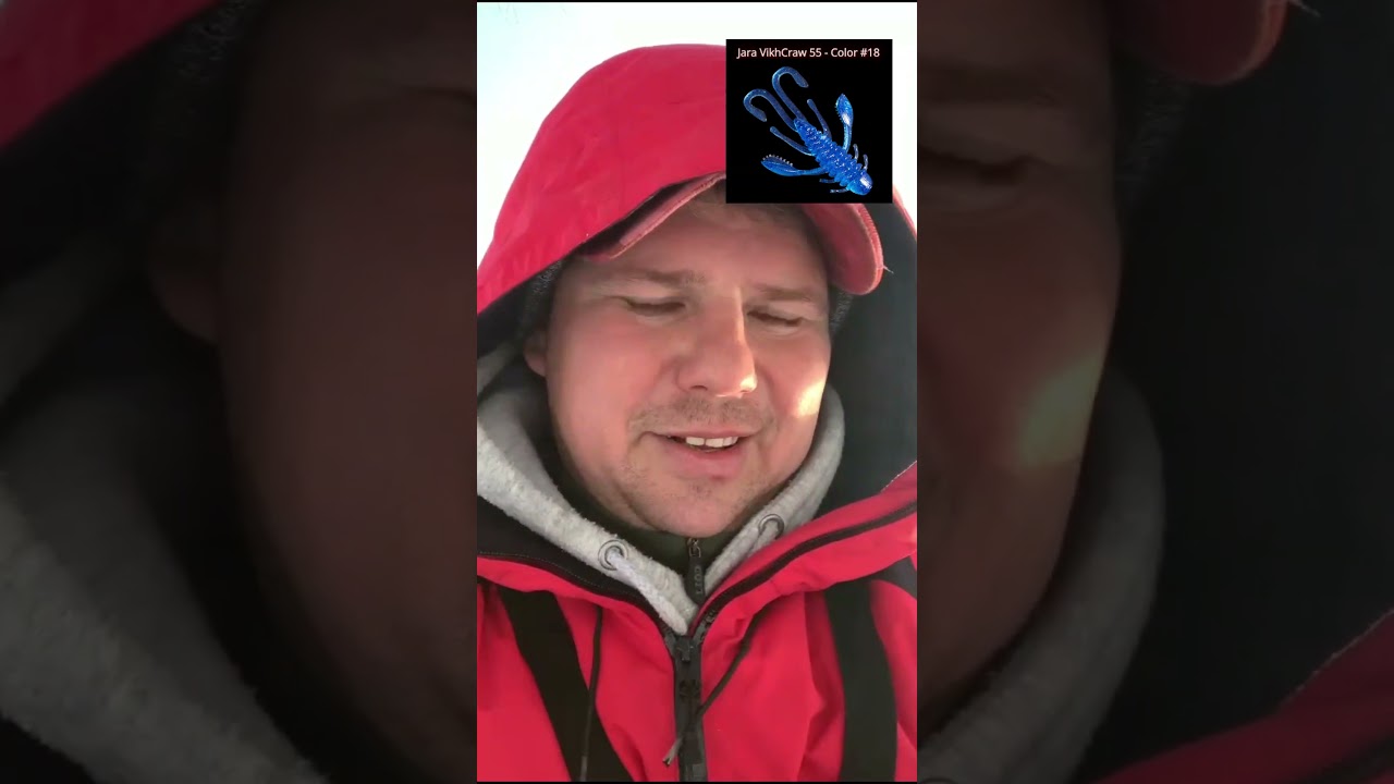 Синий Рак зимой косит судака!