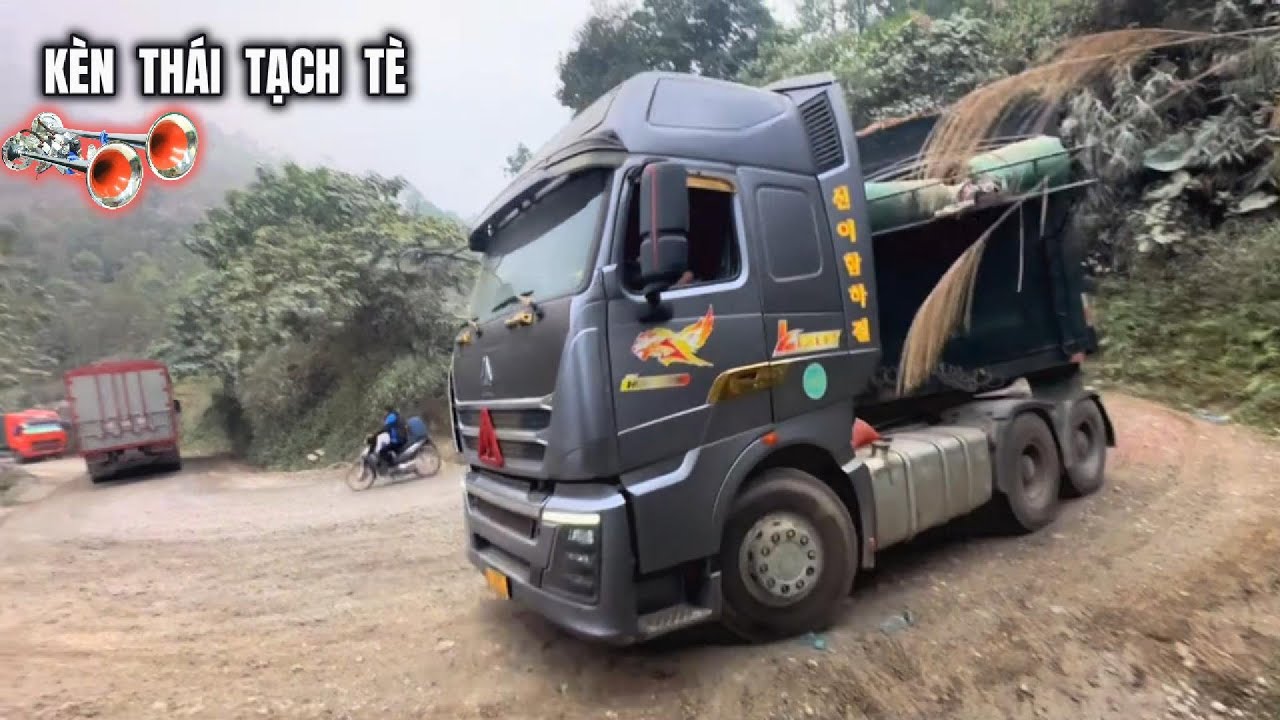 Tổng Hợp Các Báo Thủ Chích Kèn Basuri Ong Vàng Ong Trắng Quá Chiến