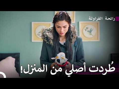 !عائلة بوراك لم توافق على هذا الحب - رائحة الفراولة
