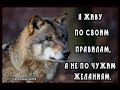 КАЙЕРКАН СЕРГЕЙ - СУДЬБУ Я ЗНАЮ НАПЕРЁД