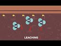 Nitrogen and Soil Health