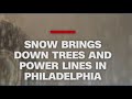 Heavy snowfalls bring down powerlines and trees in Philadelphia