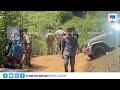 തങ്കമല എസ്റ്റേറ്റിൽ കടുവ ഇറങ്ങി; കാടുകയറ്റാൻ വനംവകുപ്പ് | Tiger