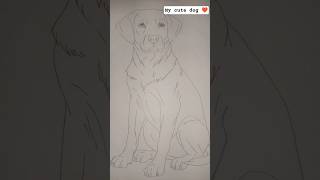 my cute dog drawing #shorts #viral #trending #dog #drawing #art #sketch #new