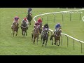 CUE CARD'S TOP 5 WINS INCLUDING AT THE CHELTENHAM FESTIVAL