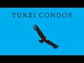 Turzi  condor official audio