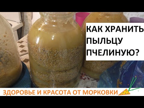 Как хранить пчелиную пыльцу в домашних условиях