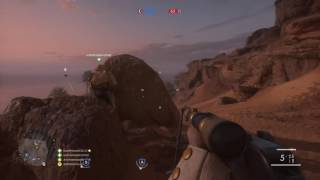 Triple Collateral BF1