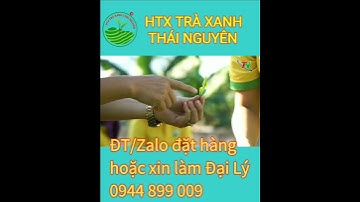 Chè Thái Nguyên đang tiếp tục tuyển Đại lý cấp 1 |#shorts