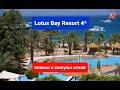 Lotus Bay Resort 4*, Египет, плюсы и минусы отеля, обзор пляжа, лотус бей сафага, Хургада, отзыв