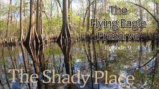 The Shady Place - Flying Eagle - Ep.9
