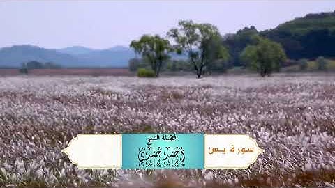 ما تيسر من سورة يـس / فضيلة الشيخ احمد حمدي 
