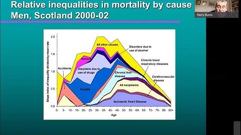Health Inequalities: Public Health matters