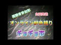 第28回ギョギョ市