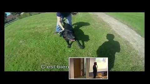 Cochise: Smart collar for Smart dogs - Eclipse IoT Day Grenoble