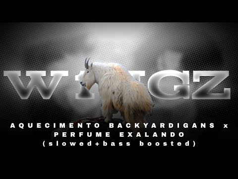 MC RF - AQUECIMENTO BACKYARDIGANS x PERFUME EXALANDO (slowed+reverb)