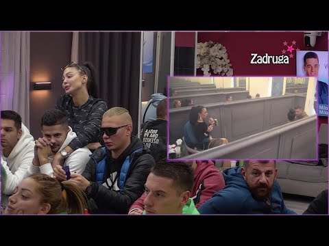 Zadruga 6 -