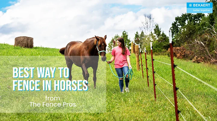 Learn the BEST Fencing for Horses