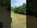 best way to catch fish in a lake #cast #fishing #net