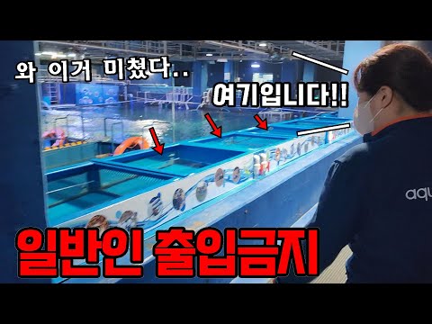 직원들만 다니는 아쿠아리움 <strong>비밀공간</strong> 공개!! 멸종위기종들이 가득하네..!?