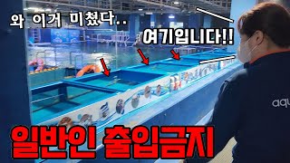 직원들만 다니는 아쿠아리움 비밀공간 공개!! 멸종위기종들이 가득하네..!?