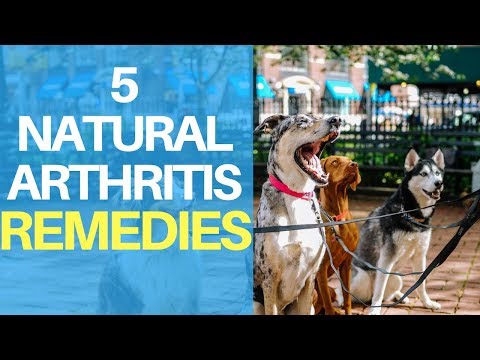 natural-remedies-for-dog-arthritis-pain:-top-5-quick-treatments