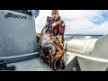 In SEARCH of the GREAT DUSKY Grouper-Ψαροντούφεκο Αναζητώντας Μεγάλους Ροφούς|Spearfishing Life 🇬🇷 ✅