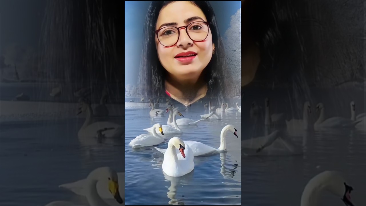 ✅☣️ Bitter but true words #inspiration #motivation #shortsfeed