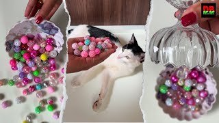 Oddly satisifying videos,satisfying reverse videos,relaxing sounds,funny cat videos, reverse videos