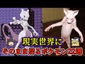 【ゆっくり解説】実在した！ポケモンにそのままな見た目の生物22選【元ネタ】【スカーレット・バイトレット】