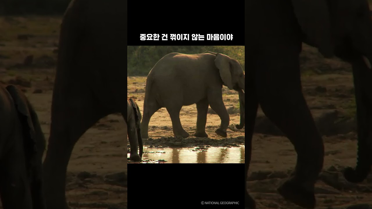 중요한 건 꺾이지 않는 마음이야